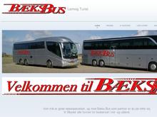 Riis Bustrafik